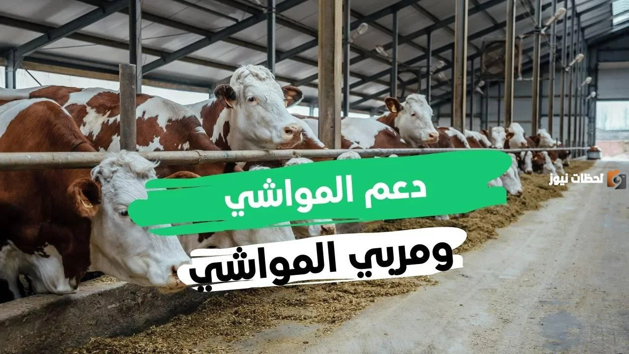 هي حالات توقف صرف دعم المواشي لمربي المواشي بالسعودية؟