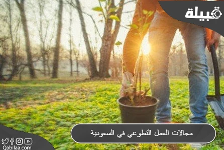 العمل التطوعي في السعودية