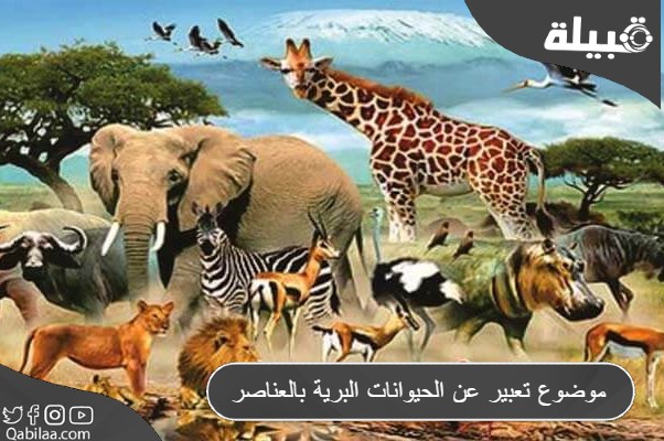 تعبير عن الحيوانات البرية بالعناصر 1