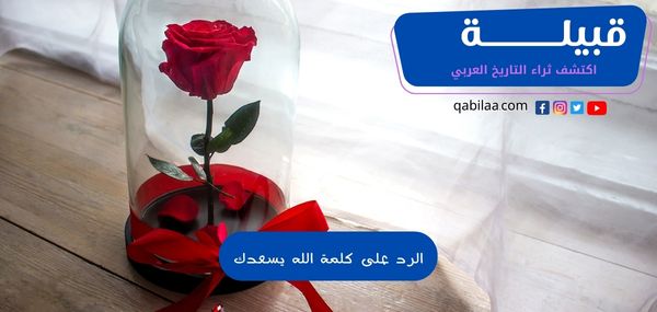 من اكتشف ثراء التاريخ العربي 12