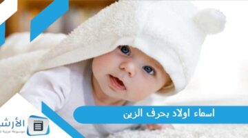 اسماء اولاد بحرف الزين ز 2023 ومعانيها