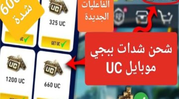 5000 Uc مجانا شحن شدات ببجي Pubg Mobile عن طريق