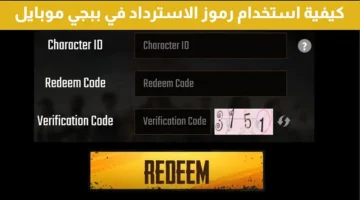 800 شدة بضغطة زر رموز استرداد شدات ببجي 2024 Pubg