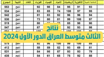 Pdf الرابط الرسمي لاستخراج نتائج الثالث المتوسط 2024 الدور الاول