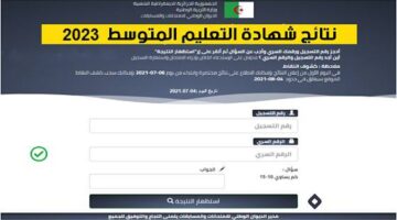 الان لينك الاستعلام عن نتائج البيام 2024 بطريقة صحيحة