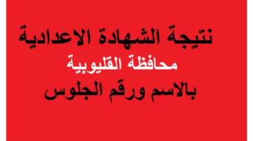 من هنا رابط استخراج نتائج الشهادة الإعدادية محافظة القليوبيه