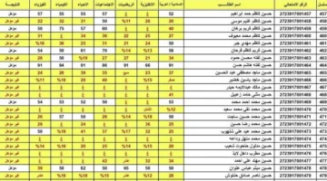 من هنا رابط نتائج اعتراضات السادس الابتدائي 2024 بعموم