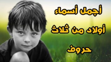 اولاد ثلاثية جديدة من القرآن الكريم