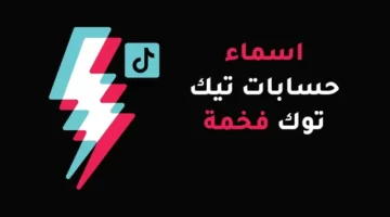 حسابات تيك توك فخمة للبنات بالانجليزي والفرنسي