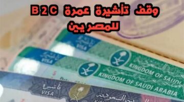 تعلن وقف تأشيرة B2C للمصريين 2024 ما هي تاشيرة