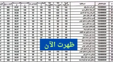 كاملة Pdf نتائج الثالث متوسط 2024 السليمانيه الدور الأول