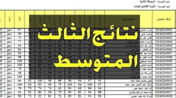 كاملة Pdf نتائج الثالث متوسط 2024 ذى قار الدور