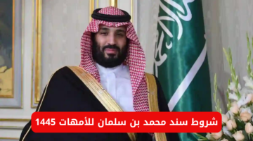 والشروط طريقة التسجيل في دعم سند محمد بن سلمان