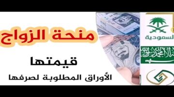 سارة للعزاب شروط التقديم على منحه الزواج بالسعودية 1445