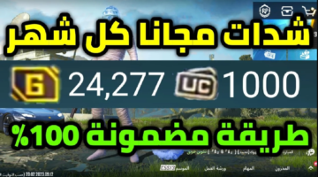 زر بوت حسابات شدات ببجي Iq مضمونة 100 Pubg