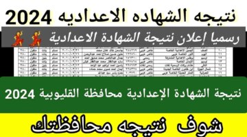 نجاح ضخمة تصل إلى 98 لينك نتيجة الشهادة الإعدادية