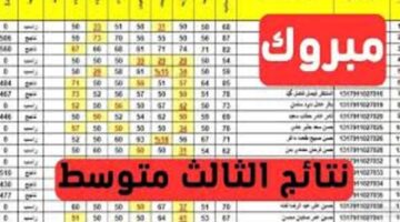 نجاح هائلة للرصافة رسميًا التربية العراقية تعلن موعد ورابط