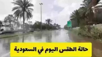 هاام من الأرصاد السعودية للحجاج بشأن حدوث رعد وبرق