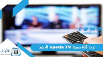 قناة سبيدة Speda Tv الجديد 2024 على النايل سات