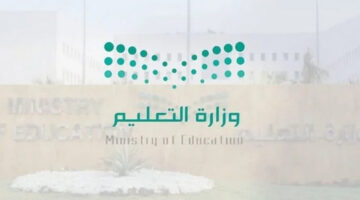 العام الدراسي الجديد 1446 والإجازات المطولة للطلاب وفقا للخطة