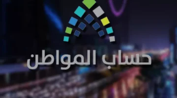 لا تخسر الدعم حساب المواطن يوضح مدى تأثير وثيقة