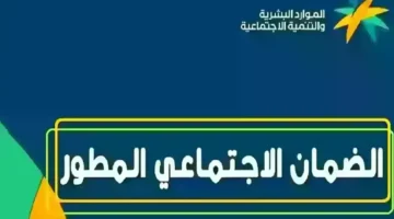 الاستعلام عن الضمان المطور بواسطة نفاذ وما هي شروط