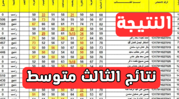 أيام موعد ظهور نتائج الثالث المتوسط 2024 الدور الأول