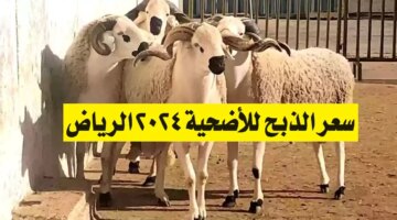 الذبح للأضحية 2024 الرياض تعرف على الأسعار وأماكن البيع