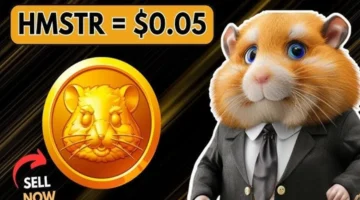 كيفية سحب الأموال من بوت الهامستر Hamster Kombat لجميع