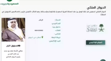 الحصول على مساعدة مالية من الديوان الملكي السعودي للمتعثرين