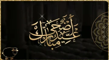 من عواده أرق وأجمل بطاقات معايدة عيد الاضحى المبارك