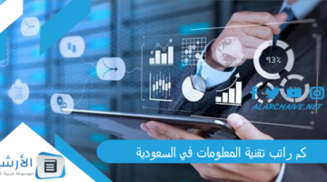 راتب تقنية المعلومات في السعودية