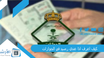 اعرف اذا عندي رصيد في الجوازات؟ استعلام عن رصيد