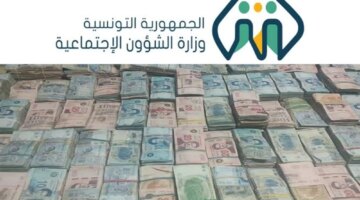 حقيقة صرف دعم إضافي كعيدية لمنحة 300 دينار تونسي