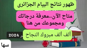 الآن ظهور نتائج البيام الجزائر من هنا مجموعك