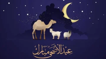 عيد الأضحى 2024 العد التنازلي المحكمة العليا بالسعودية توضح