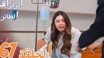 مجانية مسلسل الطائر الرفراف الحلقة 67 مترجمة حصريًا