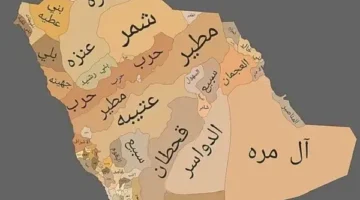 اي قبيله الحناتيش؟ الحناتيش وش يرجعون