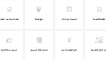 صدور أهلية الضمان الاجتماعي وإيداع الدفعات في حسابات المستفيدين