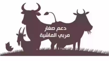 صرف دعم مربي المواشي هذا الشهر وكيفية حساب قيمة