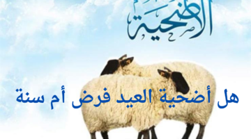 أضحية العيد فرض أم سنة؟ وما هو فضلها