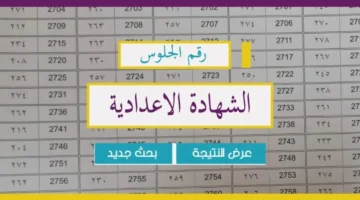 التربية والتعليم رسميًا نتيجة الشهادة الإعدادية 2024 الدور الأول