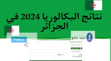 Link نتائج البكالوريا 2024 الجزائر رابط فعال لجميع الولايات وزارة