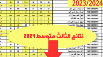 Download كشوفات نتائج الثالث متوسط 2024 الدور الاول Pdf ذي