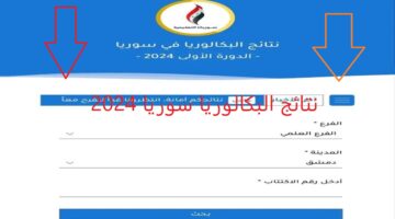 Moed Gov Sy 2024 نتائج البكالوريا سوريا حسب الاسم عبر