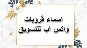 25 من قروبات واتس اب للتسويق في السعودية