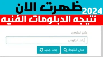 من هنا رابط نتيجة دبلوم تجارة 2024 عبر بوابة