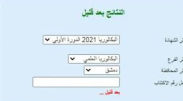 الحصول على نتائج البكالوريا سوريا 2024 عبر موقع علوم