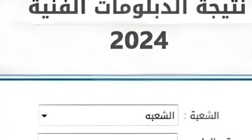 برقم الجلوس نتيجة الدبلومات الفنية 2024 ورابط الاستعلام الرسمي