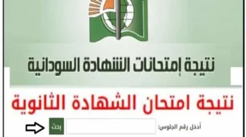 والتعليم توضح رابط استعلام نتائج شهادة الثانوية 2024 السودان